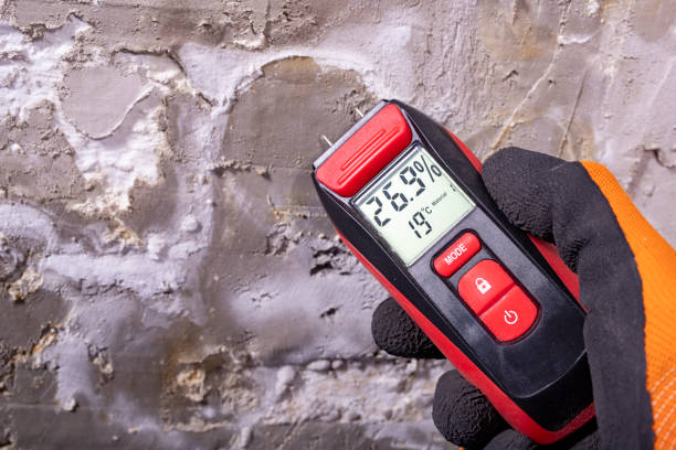 Best Commercial Mold Removal  in Westland, MI