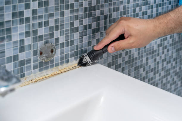 Mold Removal and Inspection in Westland, MI